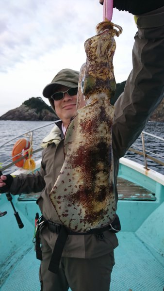 シードリーム 釣果