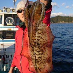 シードリーム 釣果