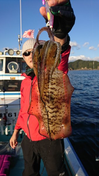 シードリーム 釣果