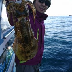 シードリーム 釣果