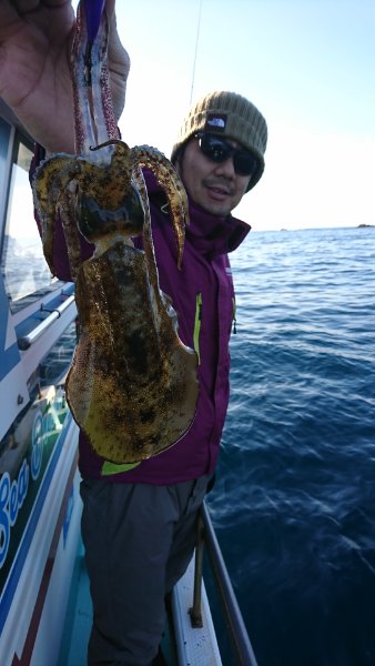 シードリーム 釣果