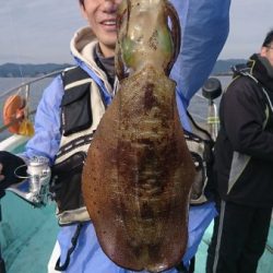 シードリーム 釣果