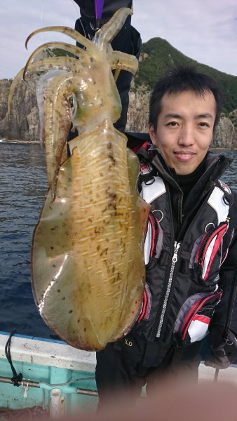 シードリーム 釣果