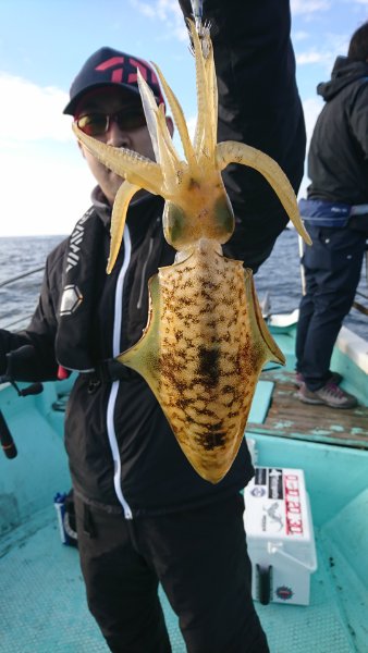 シードリーム 釣果