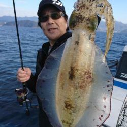 シードリーム 釣果