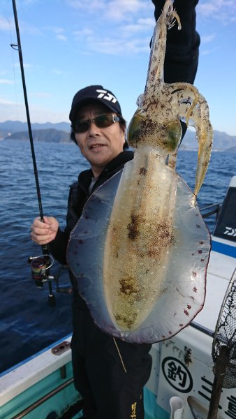 シードリーム 釣果