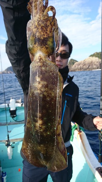 シードリーム 釣果