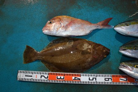 アジアマリンサービス 釣果