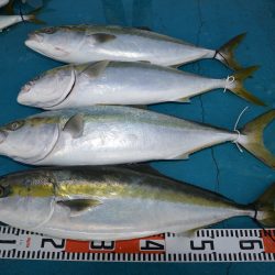 アジアマリンサービス 釣果