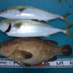 アジアマリンサービス 釣果