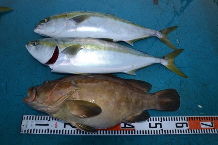 アジアマリンサービス 釣果