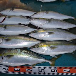 アジアマリンサービス 釣果