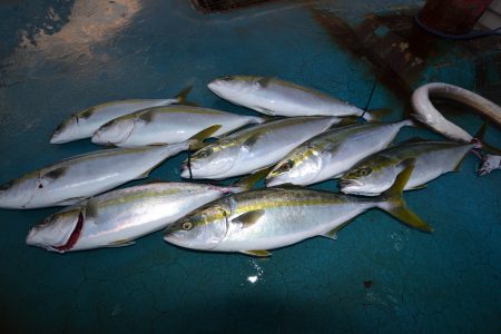 アジアマリンサービス 釣果