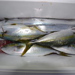 アジアマリンサービス 釣果