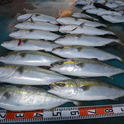 アジアマリンサービス 釣果