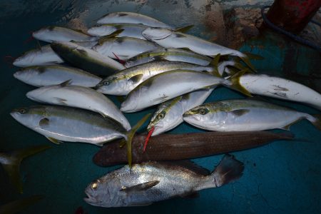 アジアマリンサービス 釣果