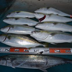 アジアマリンサービス 釣果