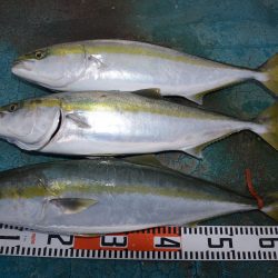 アジアマリンサービス 釣果