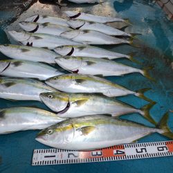 アジアマリンサービス 釣果