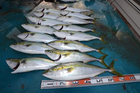 アジアマリンサービス 釣果