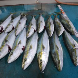 アジアマリンサービス 釣果