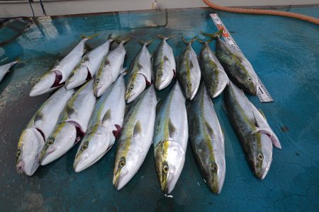 アジアマリンサービス 釣果