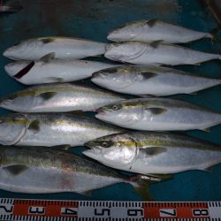 アジアマリンサービス 釣果