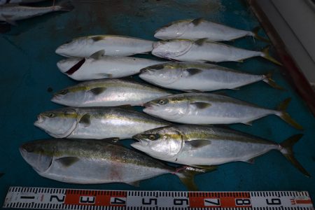 アジアマリンサービス 釣果