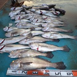 アジアマリンサービス 釣果