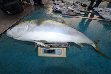 アジアマリンサービス 釣果