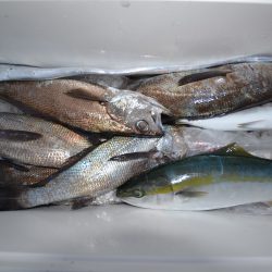 アジアマリンサービス 釣果