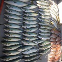 磯部釣船 直栄丸 釣果