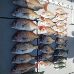 磯部釣船 直栄丸 釣果