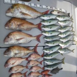 磯部釣船 直栄丸 釣果