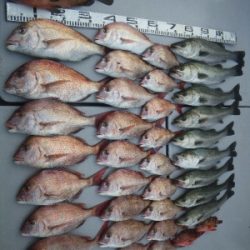 磯部釣船 直栄丸 釣果