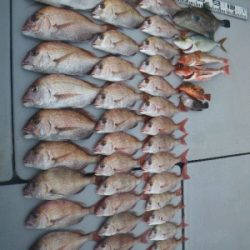 磯部釣船 直栄丸 釣果