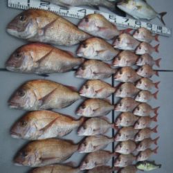 磯部釣船 直栄丸 釣果