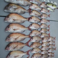 磯部釣船 直栄丸 釣果