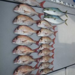 磯部釣船 直栄丸 釣果