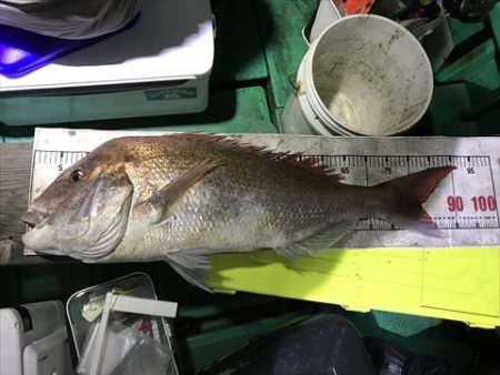 海宝丸　島根 釣果