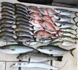 さぶろう丸 釣果