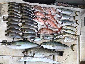 さぶろう丸 釣果