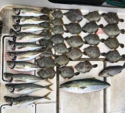 さぶろう丸 釣果