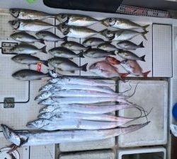 さぶろう丸 釣果