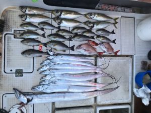 さぶろう丸 釣果