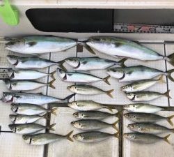 さぶろう丸 釣果