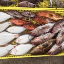 Sea Frend 片山丸 釣果