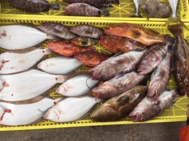 Sea Frend 片山丸 釣果