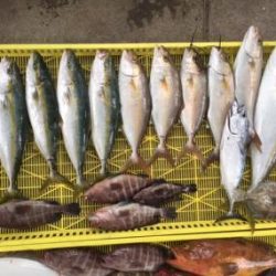 Sea Frend 片山丸 釣果