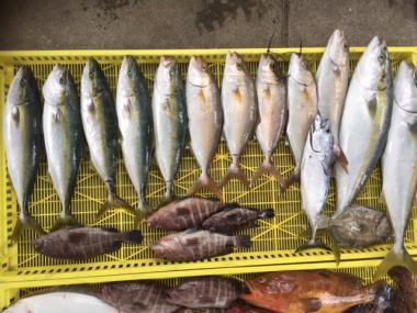 Sea Frend 片山丸 釣果